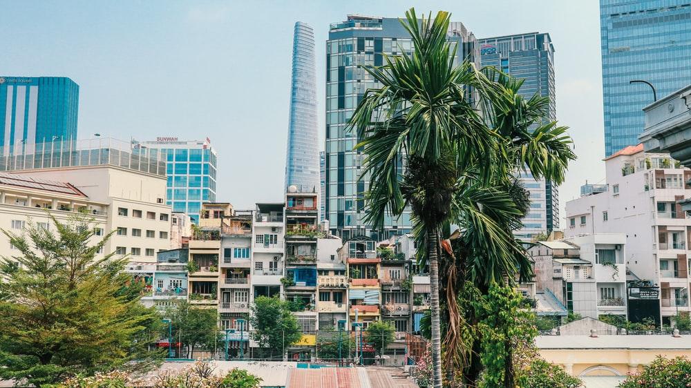 green palm tree near high rise buildings during daytime